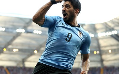 大象体育动态-什琴斯尼这年薪值不值