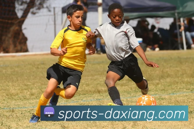 多媒体互动体验